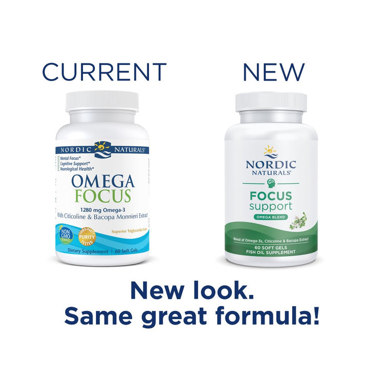 Focus Support
